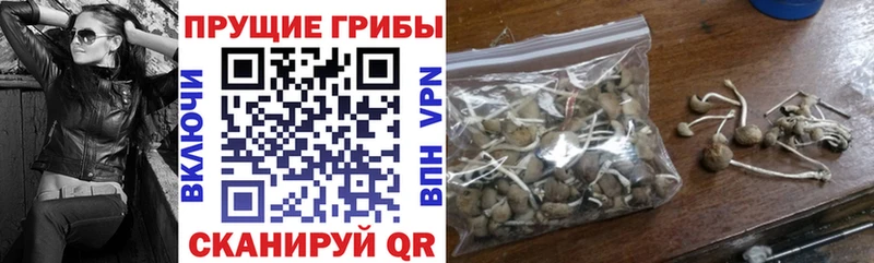 Галлюциногенные грибы прущие грибы  закладки  MEGA сайт  Остров 